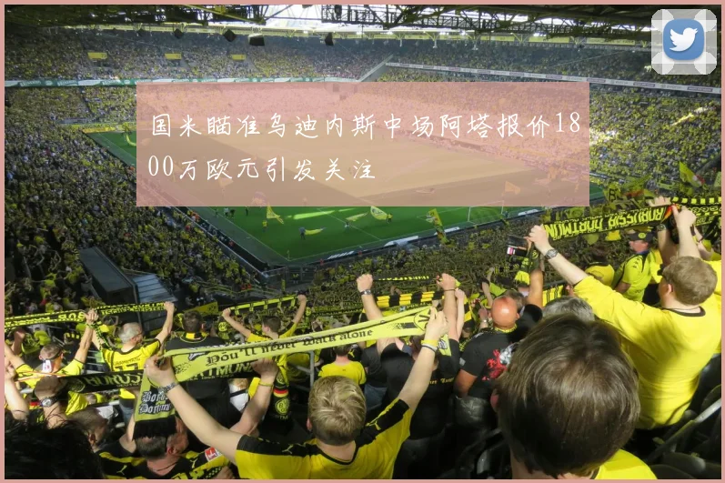 国米瞄准乌迪内斯中场阿塔报价1800万欧元引发关注