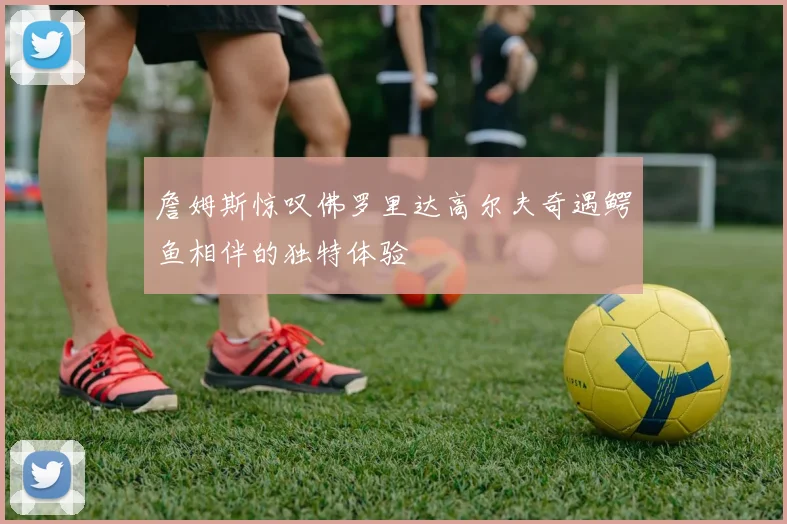 詹姆斯惊叹佛罗里达高尔夫奇遇鳄鱼相伴的独特体验